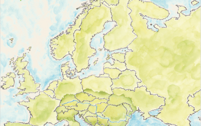 Market Report: Soya output in Europe could hit record high in 2024