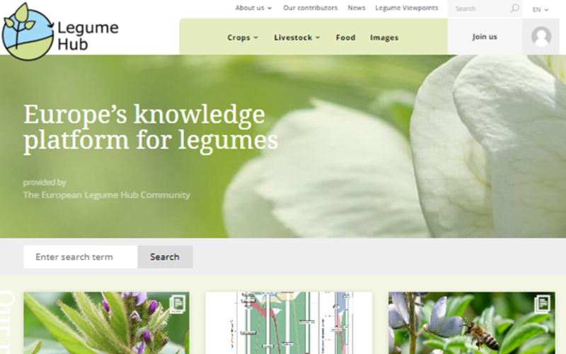 Screenshot of the Legume Hub homepage showcasing its resources and community for sustainable legume cultivation and use.